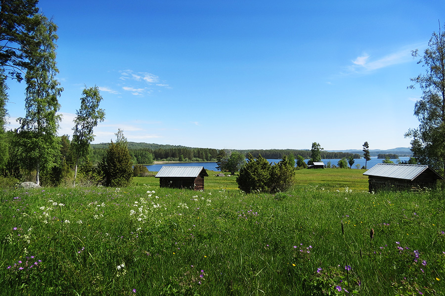 Vy över Alviken, betesängar och sjön.